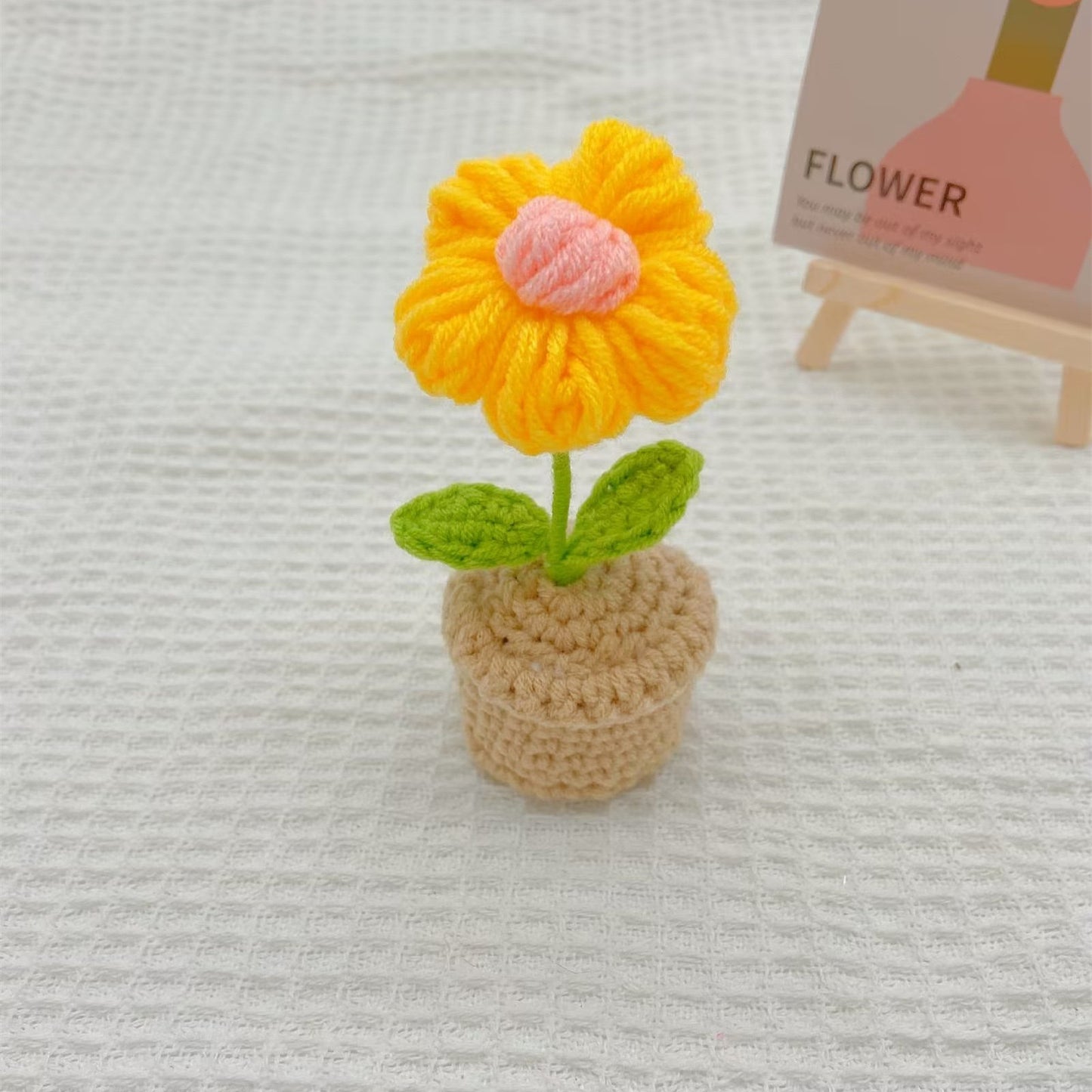 Handmand Emotional Support Plant Gift手工编织的植物盆栽