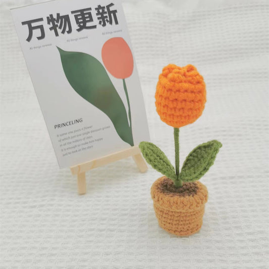 Handmand Emotional Support Plant Gift手工编织的植物盆栽